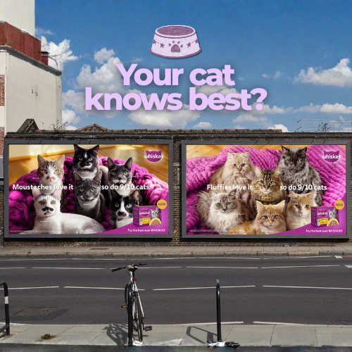 What Happens When Cats, Not Brands, Become the Proof?