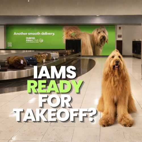 IAMS “Smooth Deliveries” Airport OOH Campaign