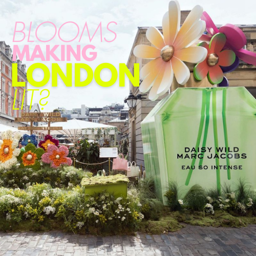 Daisy Wild Blooms in Central London