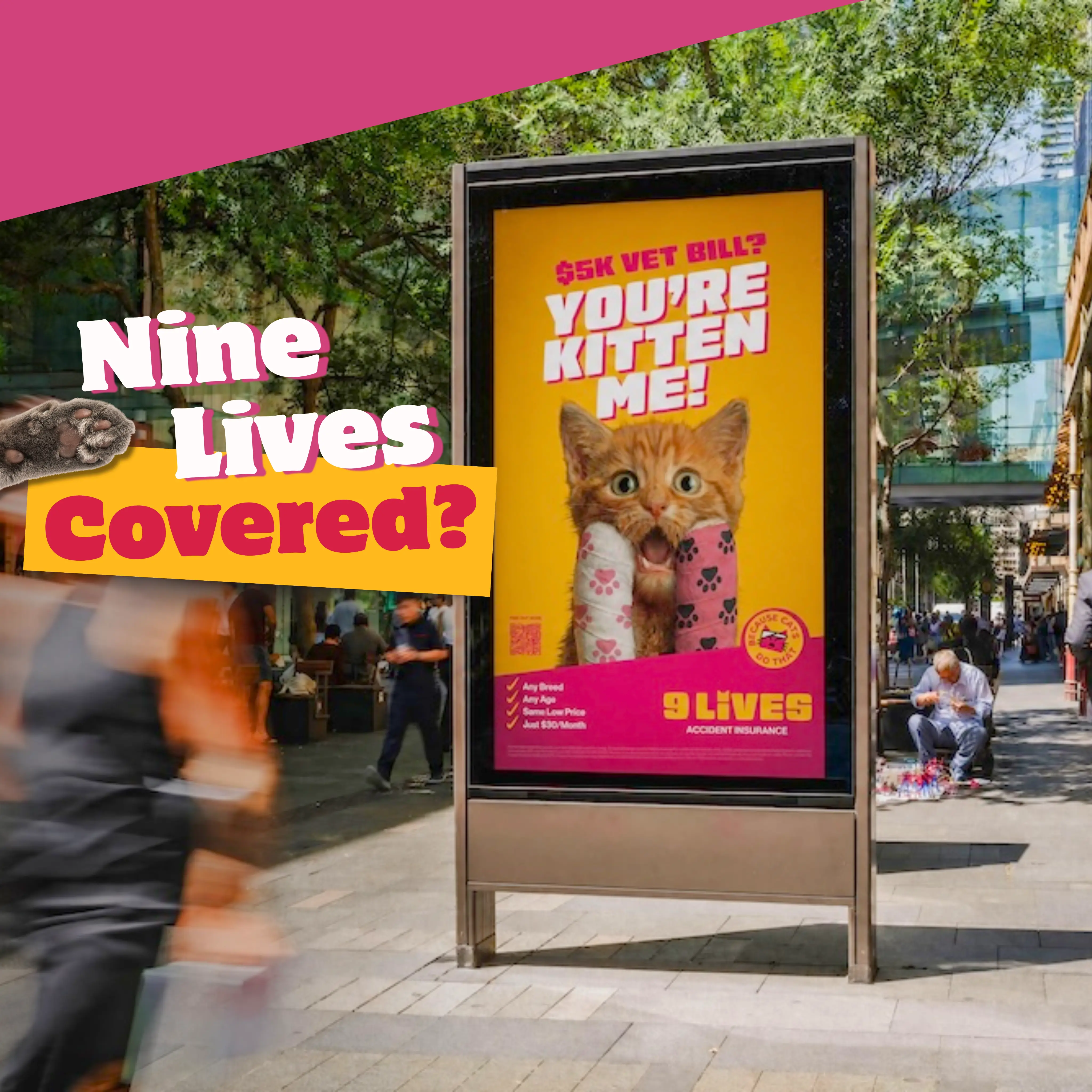 PetSure and An Idea World Launch Accident-Only Pet Insurance Brands in Brisbane