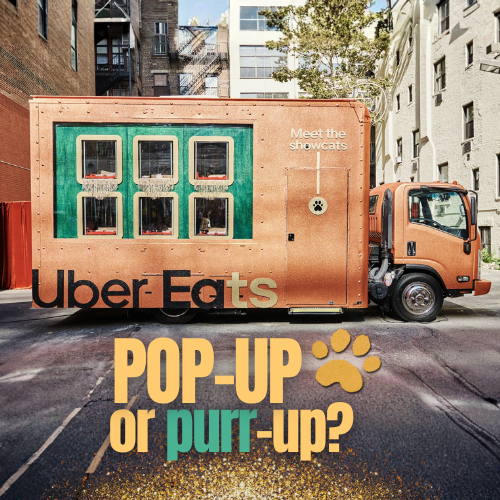 Uber Showcats: Pop-Up Pet Adoption by Uber