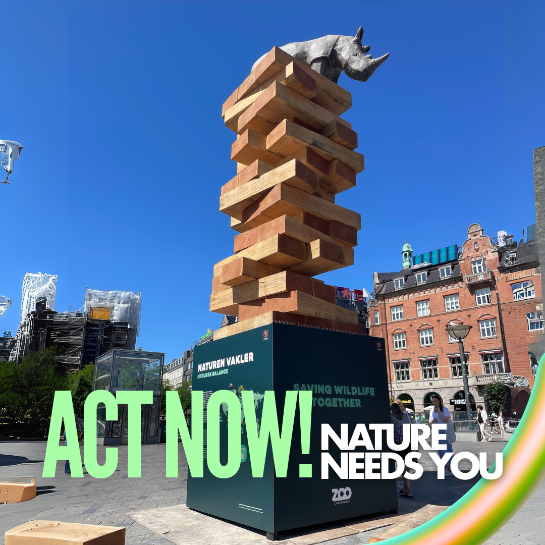 ZOO Copenhagen’s Tower: A Call to Action for Biodiversity
